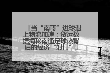 当“南哥”进球遇上物流加速：货运数据揭秘南通足球热背后的经济“射门”