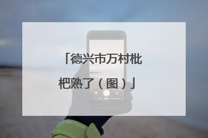 德兴市万村枇杷熟了（图）