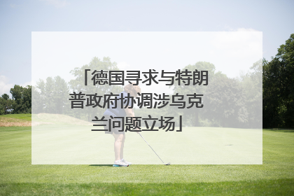 德国寻求与特朗普政府协调涉乌克兰问题立场