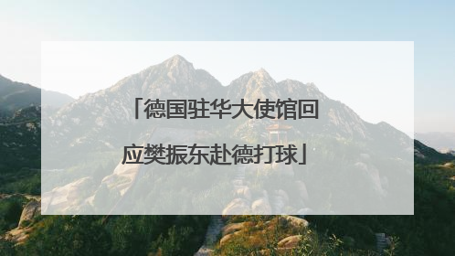 德国驻华大使馆回应樊振东赴德打球
