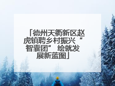德州天衢新区赵虎镇聘乡村振兴“智囊团” 绘就发展新蓝图