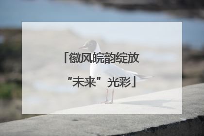徽风皖韵绽放“未来”光彩