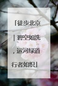 徒步北京｜碧空如洗，运河绿道行者如织
