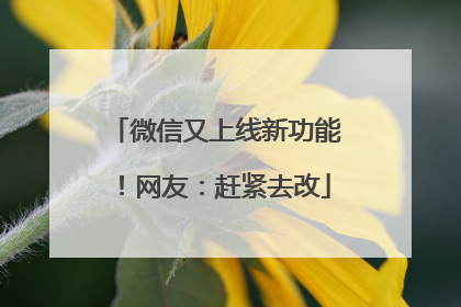 微信又上线新功能！网友：赶紧去改