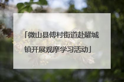 微山县傅村街道赴驩城镇开展观摩学习活动
