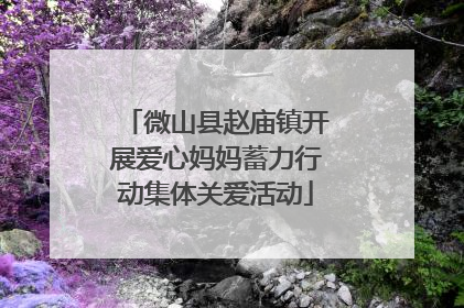 微山县赵庙镇开展爱心妈妈蓄力行动集体关爱活动