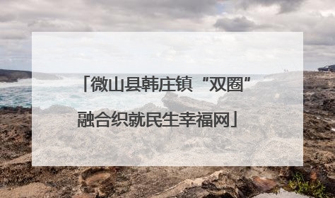 微山县韩庄镇“双圈”融合织就民生幸福网