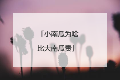 小南瓜为啥比大南瓜贵