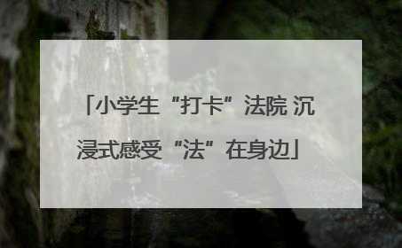 小学生“打卡”法院 沉浸式感受“法”在身边