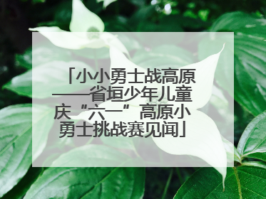 小小勇士战高原——省垣少年儿童庆“六一”高原小勇士挑战赛见闻