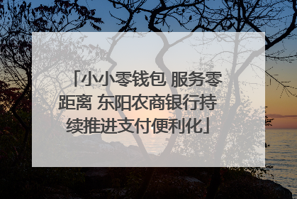 小小零钱包 服务零距离 东阳农商银行持续推进支付便利化