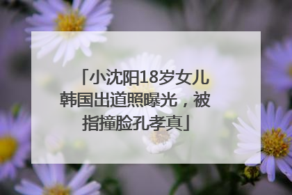小沈阳18岁女儿韩国出道照曝光，被指撞脸孔孝真