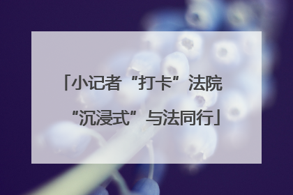 小记者“打卡”法院 “沉浸式”与法同行