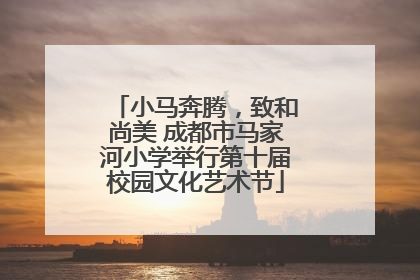 小马奔腾，致和尚美 成都市马家河小学举行第十届校园文化艺术节
