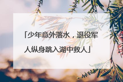 少年意外落水，退役军人纵身跳入湖中救人