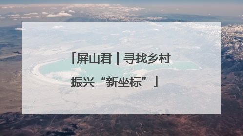 屏山君｜寻找乡村振兴“新坐标”