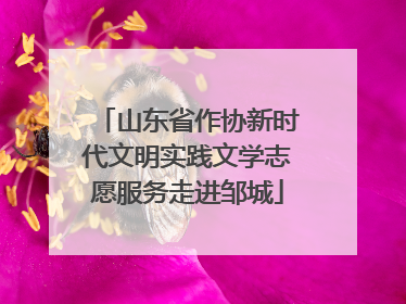 山东省作协新时代文明实践文学志愿服务走进邹城