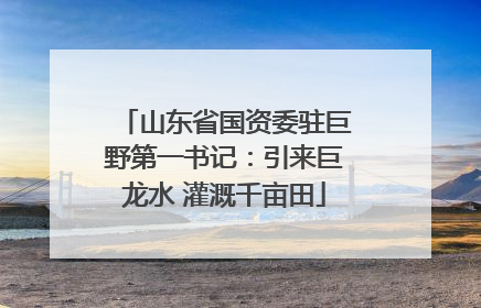 山东省国资委驻巨野第一书记：引来巨龙水 灌溉千亩田