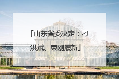 山东省委决定：刁洪斌、荣刚履新