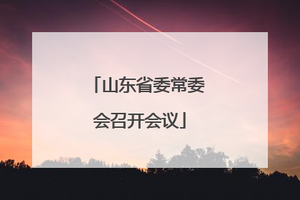 山东省委常委会召开会议
