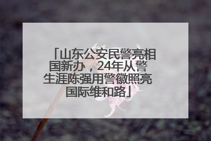 山东公安民警亮相国新办，24年从警生涯陈强用警徽照亮国际维和路