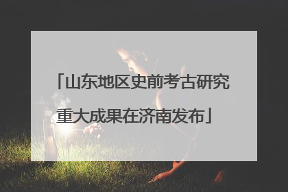 山东地区史前考古研究重大成果在济南发布
