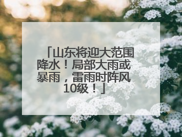 山东将迎大范围降水！局部大雨或暴雨，雷雨时阵风10级！