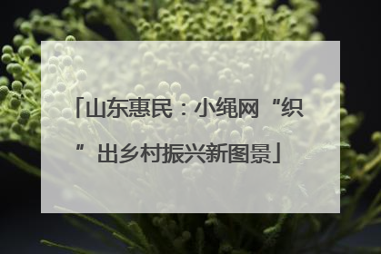 山东惠民：小绳网“织”出乡村振兴新图景