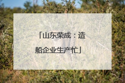 山东荣成：造船企业生产忙