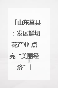 山东莒县：发展鲜切花产业 点亮“美丽经济”