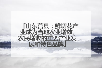 山东莒县：鲜切花产业成为当地农业增效、农民增收的重要产业发展和特色品牌