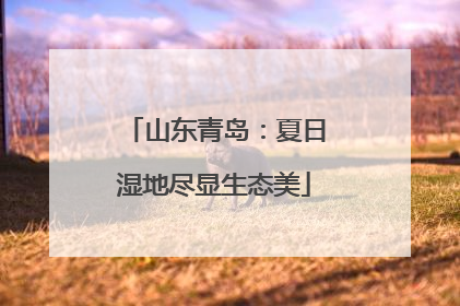 山东青岛：夏日湿地尽显生态美