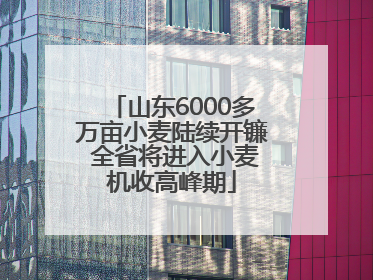 山东6000多万亩小麦陆续开镰 全省将进入小麦机收高峰期