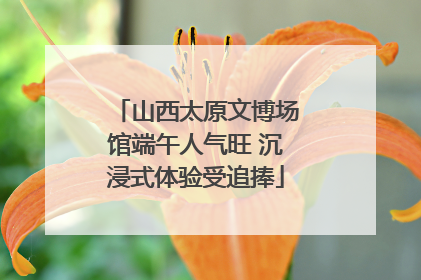 山西太原文博场馆端午人气旺 沉浸式体验受追捧