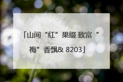 山间“红”果缀 致富“梅”香飘& 8203