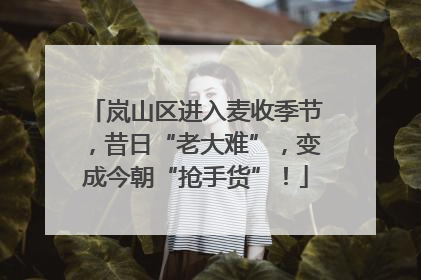 岚山区进入麦收季节，昔日“老大难”，变成今朝“抢手货”！
