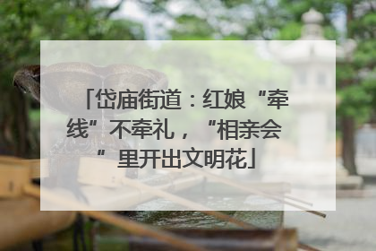 岱庙街道：红娘“牵线”不牵礼，“相亲会”里开出文明花