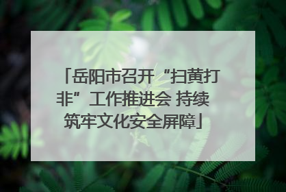 岳阳市召开“扫黄打非”工作推进会 持续筑牢文化安全屏障