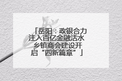 岳阳：政银合力注入百亿金融活水 乡镇商会建设开启“四新篇章”