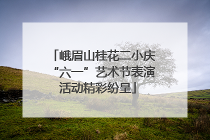 峨眉山桂花二小庆“六一”艺术节表演活动精彩纷呈