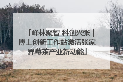 峰林聚智 科创兴张｜博士创新工作站激活张家界莓茶产业新动能