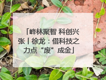 峰林聚智 科创兴张丨徐龙：借科技之力点“废”成金