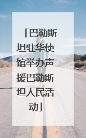 巴勒斯坦驻华使馆举办声援巴勒斯坦人民活动