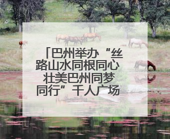 巴州举办“丝路山水同根同心 壮美巴州同梦同行”千人广场秀活动