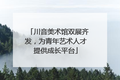 川音美术馆双展齐发，为青年艺术人才提供成长平台