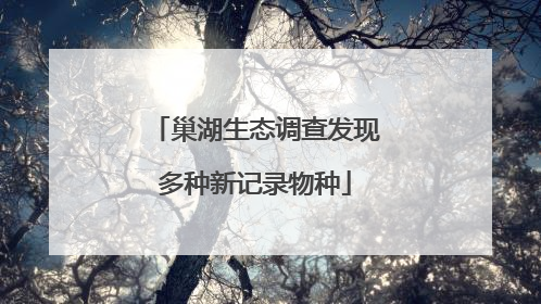 巢湖生态调查发现多种新记录物种