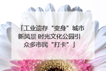 工业遗存“变身”城市新风景 时光文化公园引众多市民“打卡”