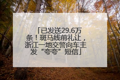 已发送29.6万条！斑马线前礼让，浙江一地交警向车主发“夸夸”短信
