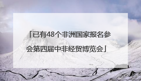 已有48个非洲国家报名参会第四届中非经贸博览会
