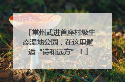 常州武进首座村级生态湿地公园，在这里邂逅“诗和远方”！